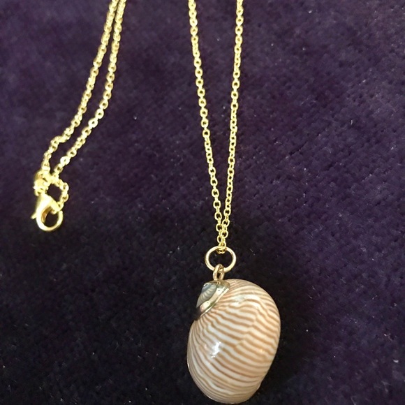 Vintage Shell 14k Gold plate Necklace - Picture 4 of 5